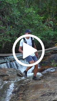 BIB:  <button type="button" onclick="openModal(27738092)" class="btn btn-primary btn-sm float-right" data-toggle="modal" data-target=".modal-high-quality">
                <i class="fa fa-download"></i> Download
                </button>